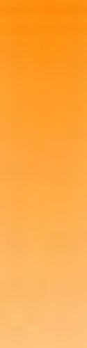 Daler Rowney Artists' Watercolours 15ml Tube Indian Yellow