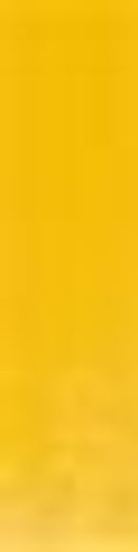 Winsor & Newton Galeria Acrylics 120ml Tube Cadmium Yellow Deep Hue