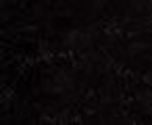 Gamblin Artists Oil Paints 150ml Tubes Ivory Black