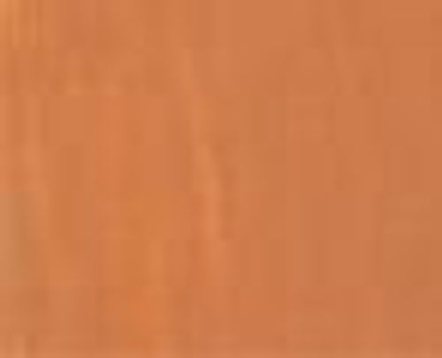 Bromleys Artists Oils 60ml Flesh Tint