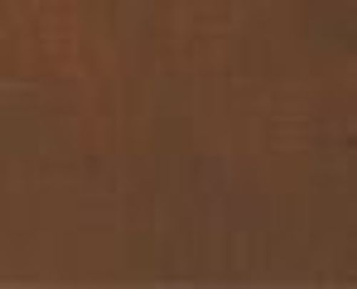 Bromleys Artists Oils 60ml Raw Sienna