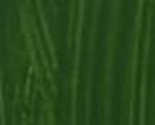 Bromleys Artists Oils 60ml Sap Green