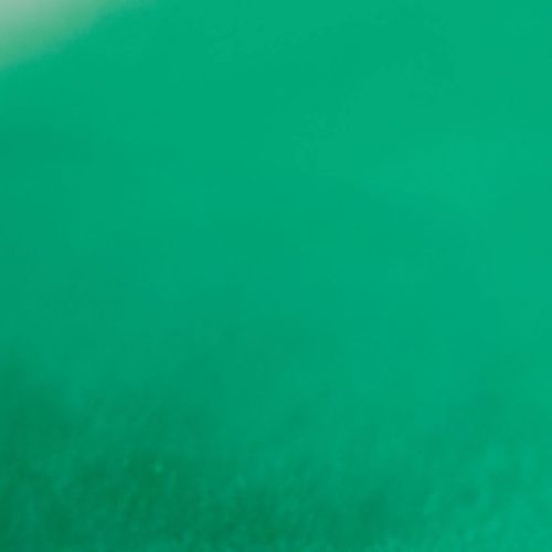Sennelier Soft Pastels Singles Lawn Green 148