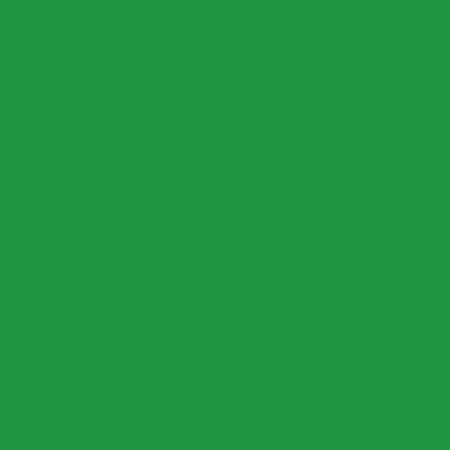 Karin Brushmarker PRO Pens Neon Green