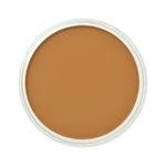 PanPastel Artists' Soft Pastel Pans Orange Shade preview