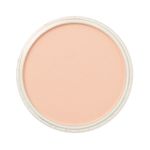 PanPastel Artists' Soft Pastel Pans Red Iron Oxide Tint preview