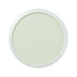 PanPastel Artists' Soft Pastel Pans Chromium Oxide Green Tint preview