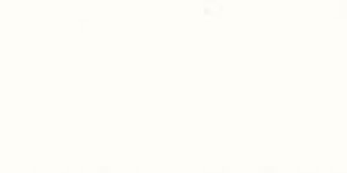 Clairefontaine Pastelmat Pastel Paper Sheets White