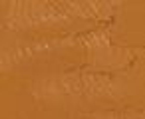 Gamblin Artists Oil Paints 150ml Tubes Raw Sienna