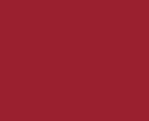 Sakura Pigma Micron PN Pens Burgundy