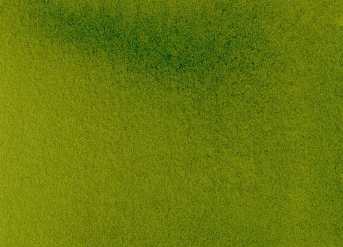 Daniel Smith Extra Fine Watercolours 5ml Tube Sap Green