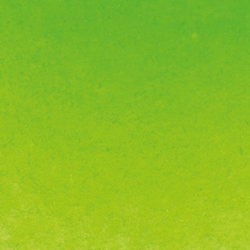 Schmincke Horadam Aquarell Artists Watercolour 15ml Tube May Green