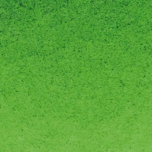 Schmincke Horadam Aquarell Artists Watercolour 5ml Tube Sap Green