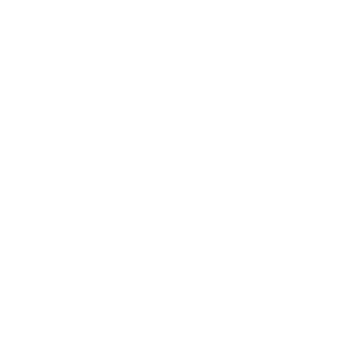 Seawhite Artists Drawing Ink (500ml) White