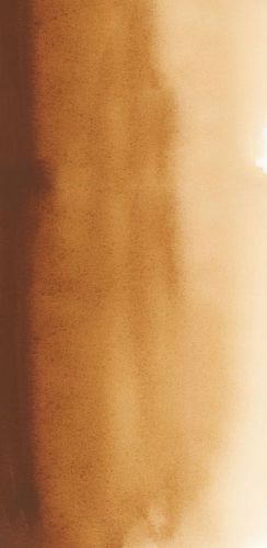 Sennelier L'Aquarelle Watercolour Paint 21ml Tube Burnt Umber