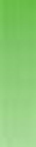 Daler Rowney System 3 ORIGINAL 150ml Tube Leaf Green