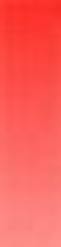 Daler Rowney System 3 Heavy Body Acrylic Paint 500ml Pot Cadmium Red Hue