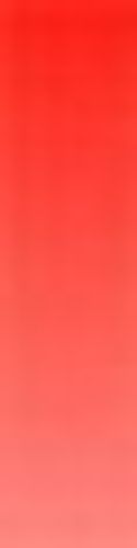 Daler Rowney System 3 ORIGINAL 500ml Pot Cadmium Red Deep (Hue)