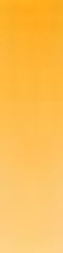 Daler Rowney System 3 ORIGINAL 150ml Tube Cadmium Yellow Deep (Hue)
