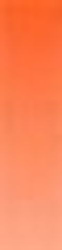 Daler Rowney System 3 ORIGINAL 59ml Tube Cadmium Orange (Hue)