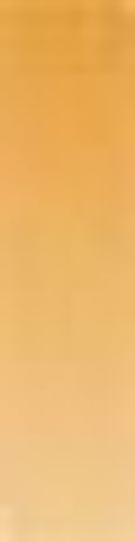 Daler Rowney System 3 ORIGINAL 59ml Tube Yellow Ochre