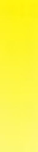 Daler Rowney System 3 ORIGINAL 150ml Tube Process Yellow