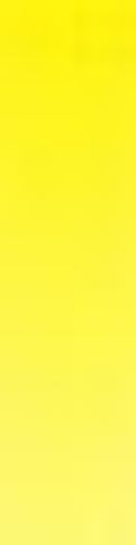 Daler Rowney System 3 ORIGINAL 500ml Pot Process Yellow