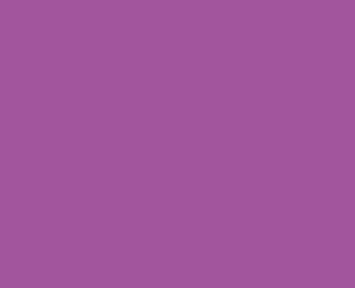 Uni Posca PC-1M Extra Fine Bullet Tip Paint Marker Violet
