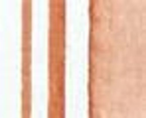 Winsor & Newton Promarker Watercolour Burnt Red