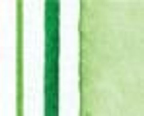 Winsor & Newton Promarker Watercolour Hooker's Green