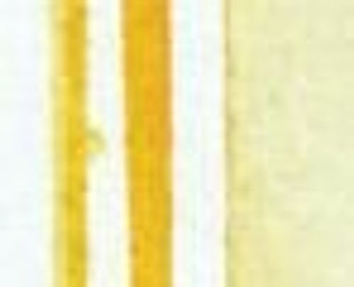 Winsor & Newton Promarker Watercolour Raw Sienna