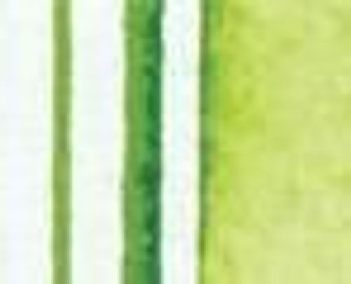 Winsor & Newton Promarker Watercolour Sap Green